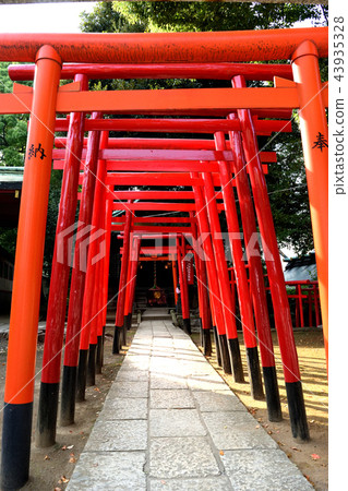 安娜稻荷神社(品川神社) 安娜稻荷神社(品川神社) 43935328