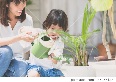 A family A family 43936182