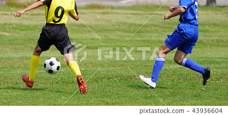 Football football Football football 43936604
