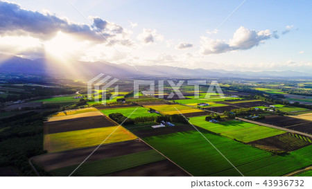 在北海道的空中拍攝 在北海道的空中拍攝 43936732