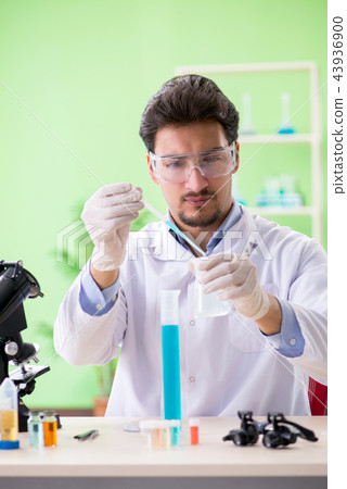 Man chemist working in the lab Man chemist working in the lab 43936900