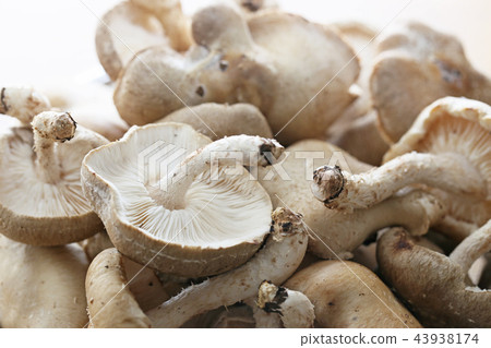 香菇 43938174