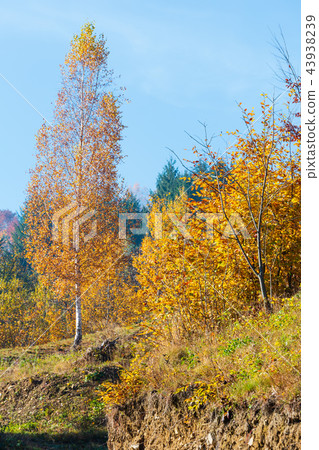 Autumn Carpathian mountains, Ukraine Autumn Carpathian mountains, Ukraine 43938239