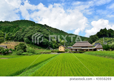 Hatarasa Temple Furusato Village Hatarasa Temple Furusato Village 43938269