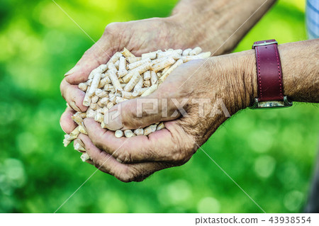 Wooden pressed pellets from biomass in hand man. 43938554
