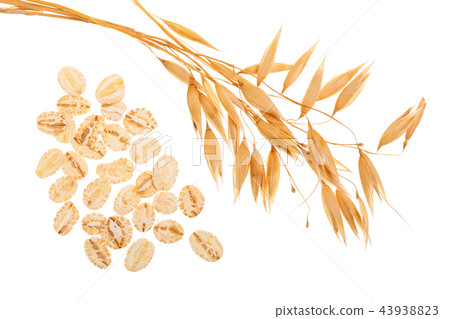 oat spike with oat flakes isolated on white background. Top view oat spike with oat flakes isolated on white background. Top view 43938823