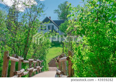 安妮的紅發世界是通向綠山牆的道路 安妮的紅發世界是通向綠山牆的道路 43939282