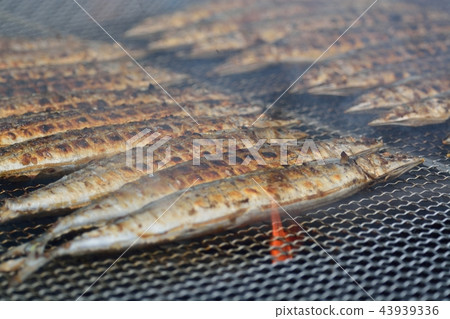 Autumn taste Meguro's Sanma Festival Autumn taste Meguro's Sanma Festival 43939336