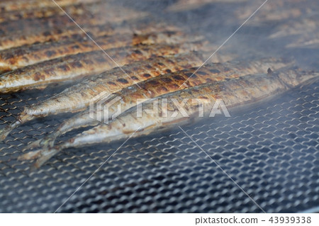 Autumn taste Meguro's Sanma Festival 43939338
