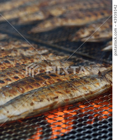 秋天味道目黑的三馬節 秋天味道目黑的三馬節 43939342