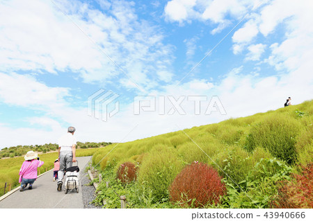 Kokia Hitachi beach park taken around September 20 43940666