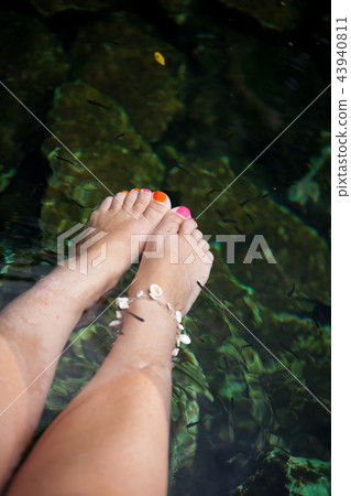 Natural fish spa therapy 43940811