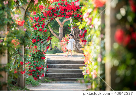 Girl child flower garden Arboretum rose 43942557