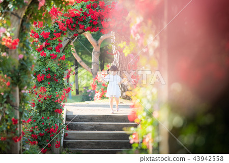 Girl child flower garden Arboretum rose Girl child flower garden Arboretum rose 43942558