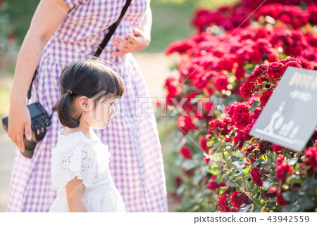 女孩兒童花園樹木園上升了 女孩兒童花園樹木園上升了 43942559