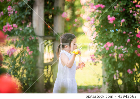 Girl child flower garden Arboretum rose 43942562