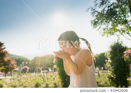 女孩兒童花園樹木園上升了 43942606