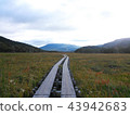 long way to go 43942683