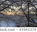 Snow makeup 43943374