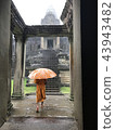 Monk 43943482