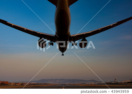Boeing 787-8 Dreamliner Landing (Osaka Airport) 43943959