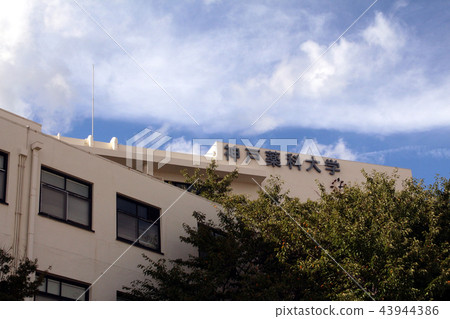 神戶藥科大學 神戶藥科大學 43944386