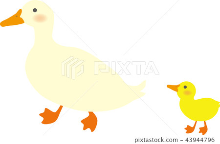 Parent and child of duck Parent and child of duck 43944796