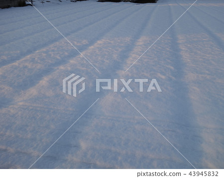 Snow carpet Snow carpet 43945832