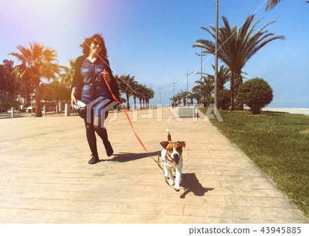 Girl with Jack Russel dog on the walk near the sea Girl with Jack Russel dog on the walk near the sea 43945885
