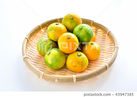 Tatsumi橙色早期秋天品嚐藍色橙色早期的秋天圖像 43947385