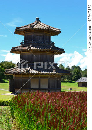 History Park Sakai Castle Red rice season of harvest season 43947582