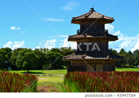 History Park Sakai Castle Red rice season of harvest season 43947584