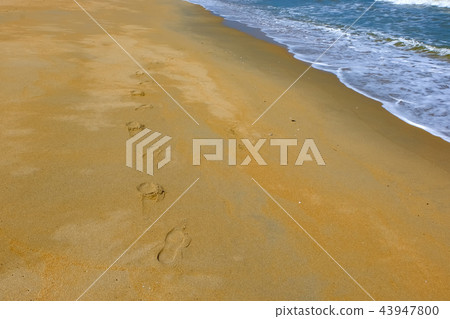 Foot print on sandy beach background 43947800