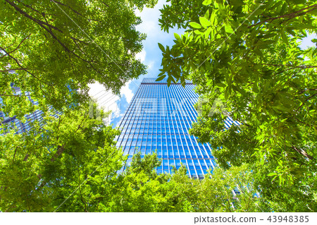 許多綠色辦公室街道風景 許多綠色辦公室街道風景 43948385