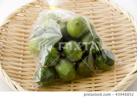 Seeker bag with bag Seeker bag with bag 43948852