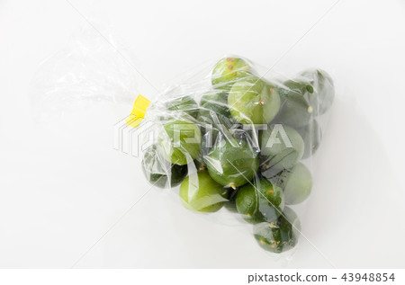 Seeker bag with bag 43948854