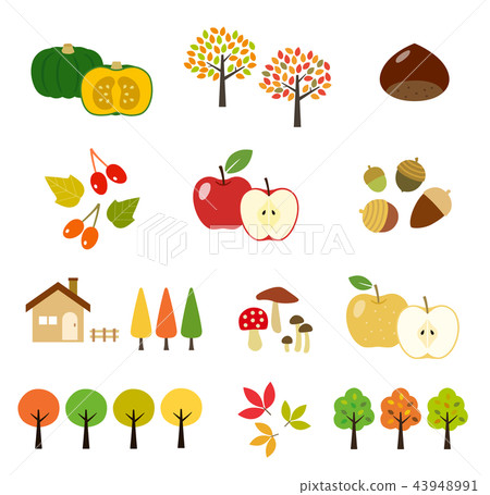 Autumn leaves and crops | Illustration set 43948991