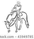 Horse riding (walking) 43949785