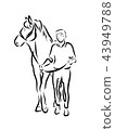 Horse 43949788