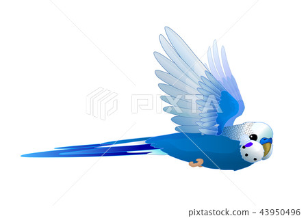 vector cartoon animal clip art 43950496