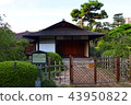 Shukanjukan 43950822