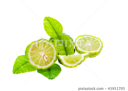 Bergamot fruit and leaves isolated on white 43951705