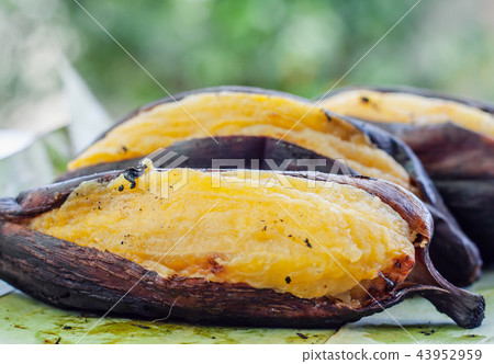 Delicious grill silver bluggoe banana Delicious grill silver bluggoe banana 43952959