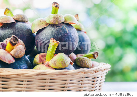 Mangosteen fruit in the wicker basket Mangosteen fruit in the wicker basket 43952963