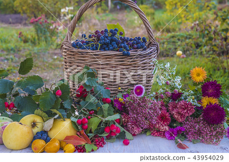 Autumn concept 43954029