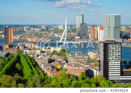 View of Rotterdam city and the Erasmus bridge 43954829