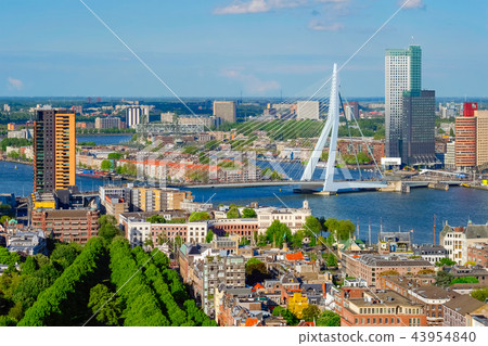 View of Rotterdam city and the Erasmus bridge  43954840
