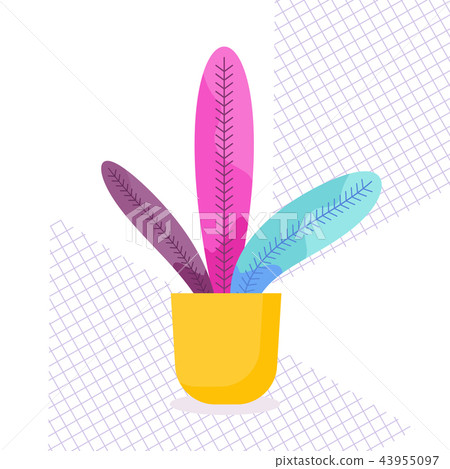 Exotic tropical indoor plant in a flowerpot on a white background. 43955097