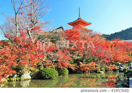 Kyoto - ji temple in Kyoto Kyoto - ji temple in Kyoto 43957680