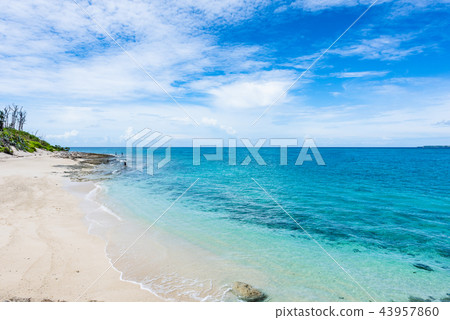 Beach of Okinawa Minnajima 43957860